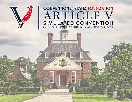 Article V Simulation Convention Summary
